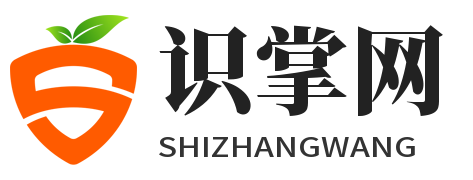 识掌网-记录人生、关爱互联网